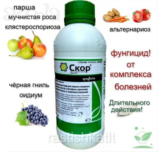 Интернет-магазин «Растишка ТЛТ» - товары для растениеводства в Тольятти